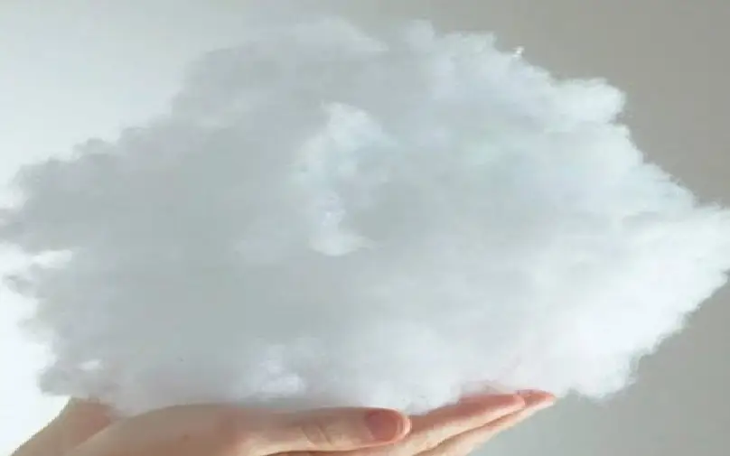 What is RPSF (Recycled Polyester Staple Fiber)?