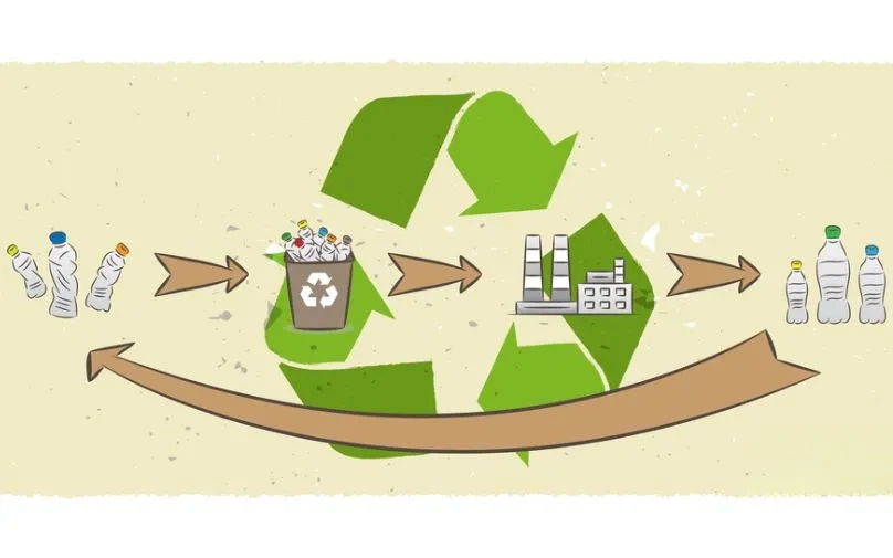 rPET the Future of Plastic Manufacturing